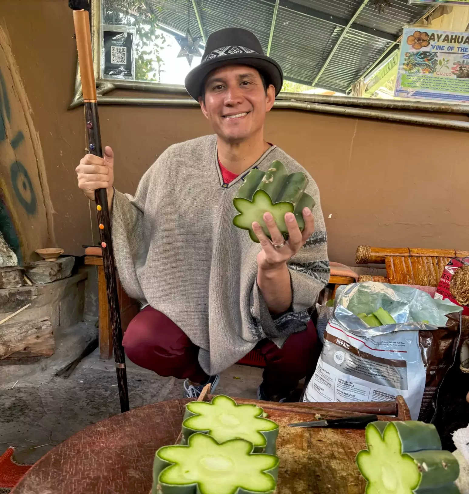 Andean Shamanic Healing and the Ceremonial Use of San Pedro.